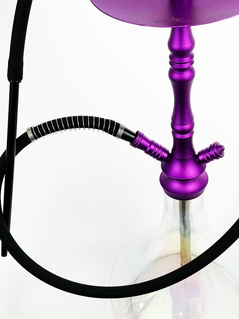 SW SW24 Purple 2