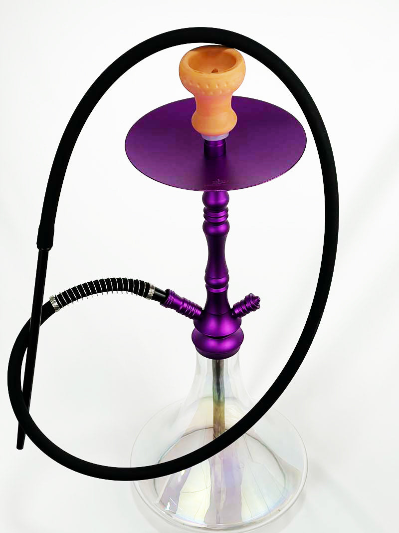 SW SW24 Purple 3